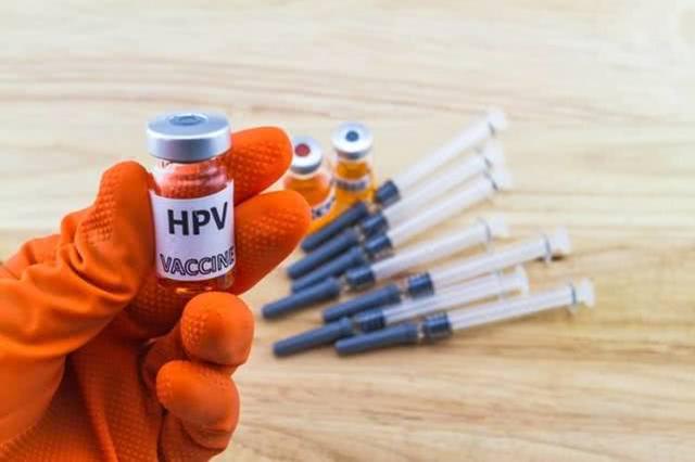 ������ͼhpv.jpg